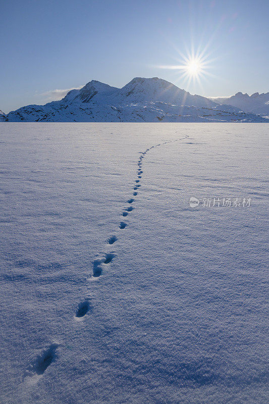 格陵兰，Tasiilaq, Ammassalik